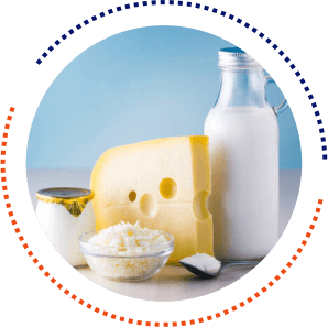 Dairy & Cheese Shipping  
