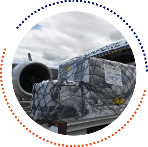 Emergency Supply Dispatch