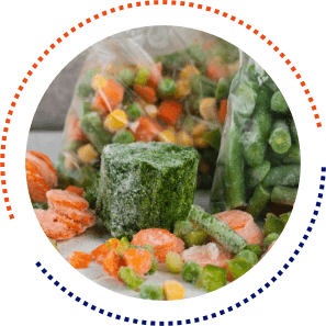 Frozen Food Delivery 