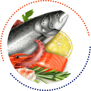 Seafood Logistics
